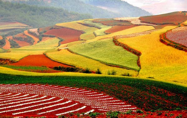 Лоскутные поля в провинции Дончуань