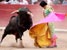 Коррида - традиционный испанский бой быков
