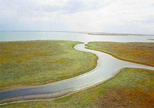 Озеро Маныч-Гудило, самое большое озеро Ростовской области