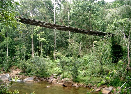 Дождевой лес Синхараджа. Национальные парки Шри-Ланки