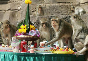 Швейдский стол для обезьян в храме Пра-Пранг-Сам-Йот
