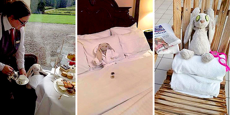 Ирландский отель устроил роскошный отдых плюшевому зайчику