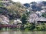 В Иокогаме откроется сад Санкей