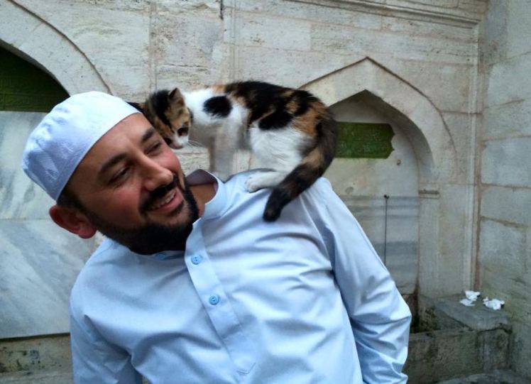 В Стамбуле построят мечеть для бродячих котов