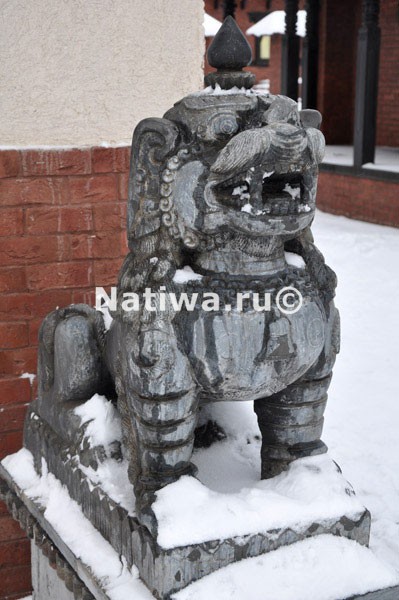 Лев, охраняющий вход в Тибетский дом