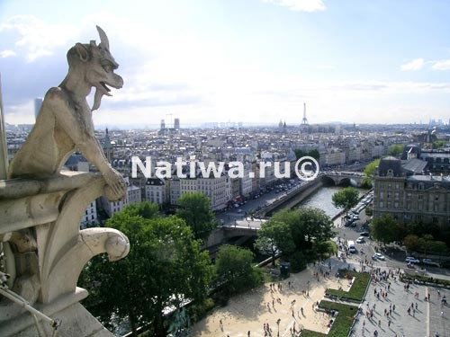 Вид на Париж с Собора Парижской Богоматери
