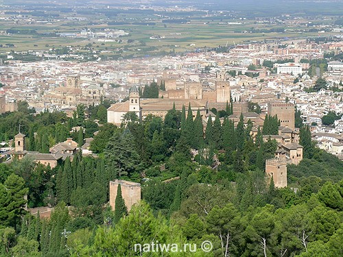 Вид на Альгамбру. Гранада