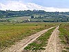 Дорога на Подгорцы